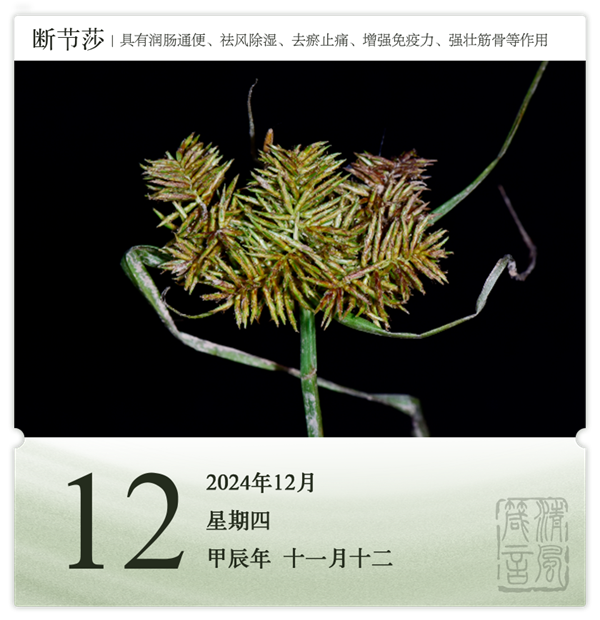 1732869628397098.png 箴历日历12-12.png