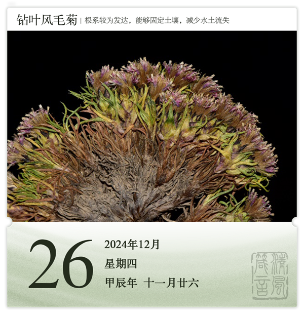 1732871406586931.png 箴历日历12-26.png