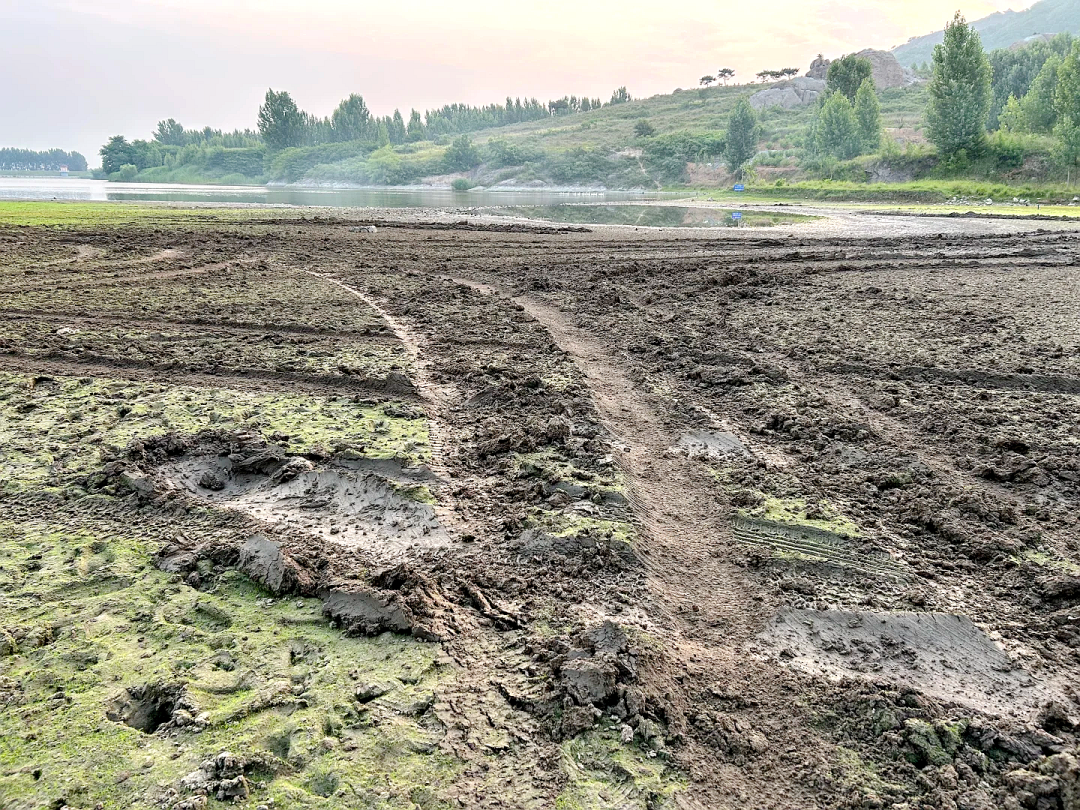 青岛一网红草地被指遭越野车组队碾轧破坏,活动组织方称“正在恢复,已经安排处理了”,当地管理机构:将到现场核实