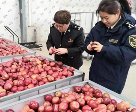 凯发k8省首次出口“利乐包”苹果汁