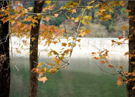 凯发k8省11月气温偏高降水偏多