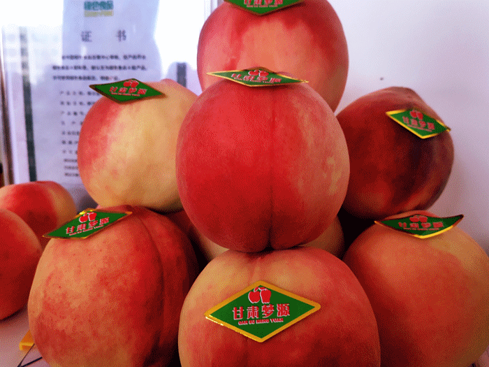 【厚道凯发k8 地道甘味】“甘味”吹响集结号 走南闯北打市场